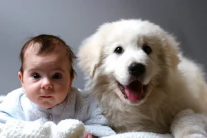 Babies vs puppies: a baby and puppy lay down side by side staring at camera to see who is cuter